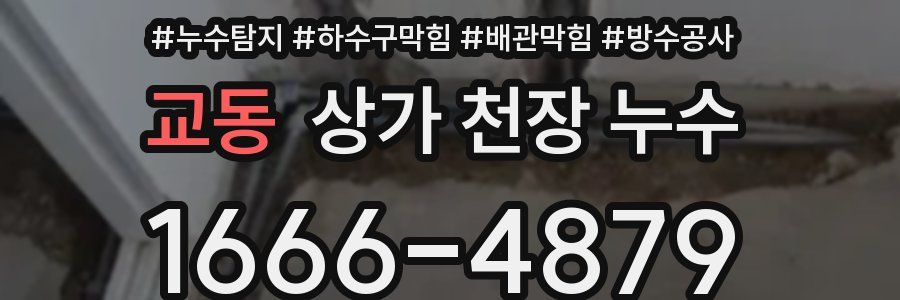 교동 상가 천장 누수