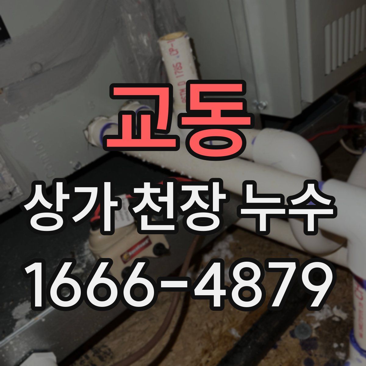 교동 상가 천장 누수