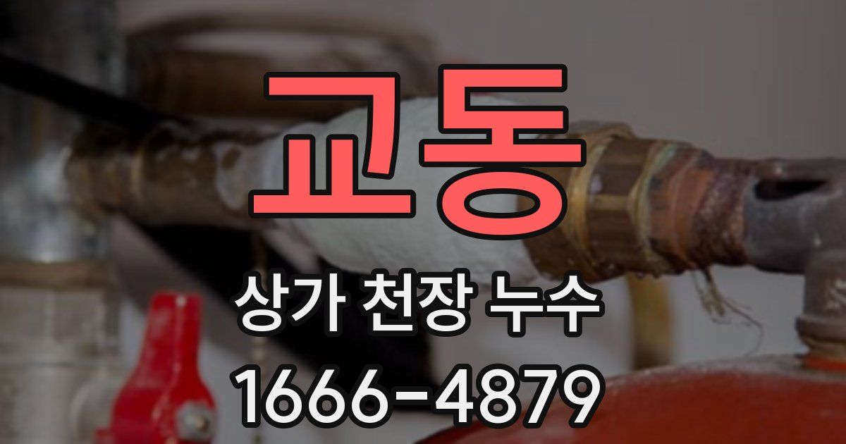 교동 상가 천장 누수