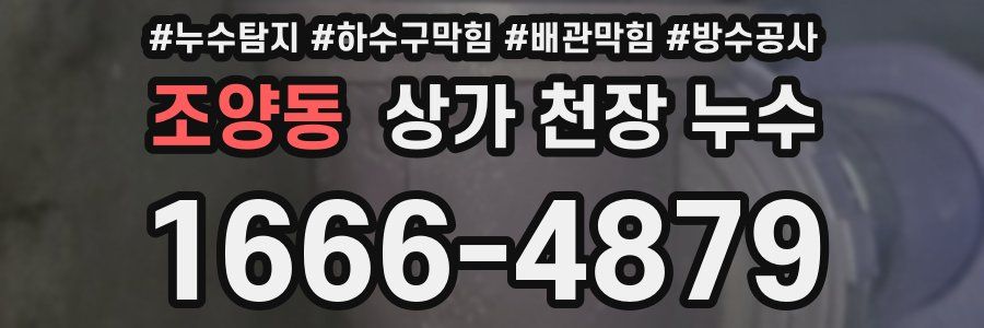 조양동 상가 천장 누수