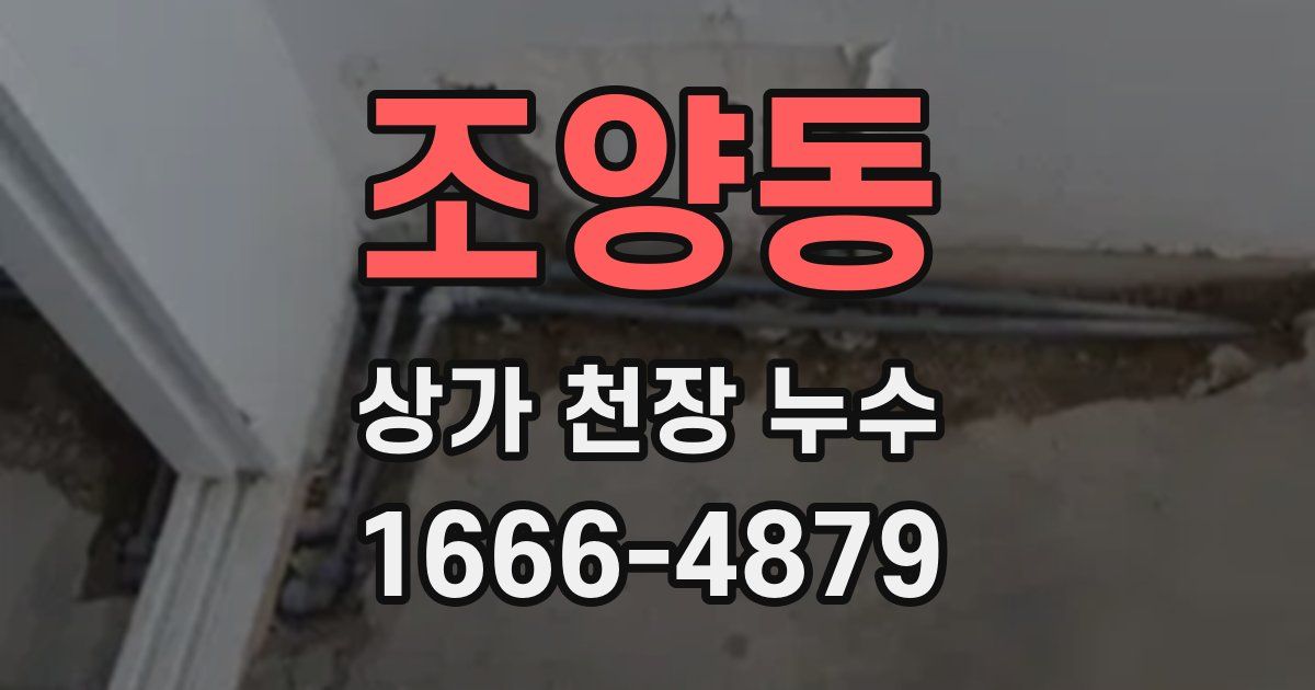 조양동 상가 천장 누수