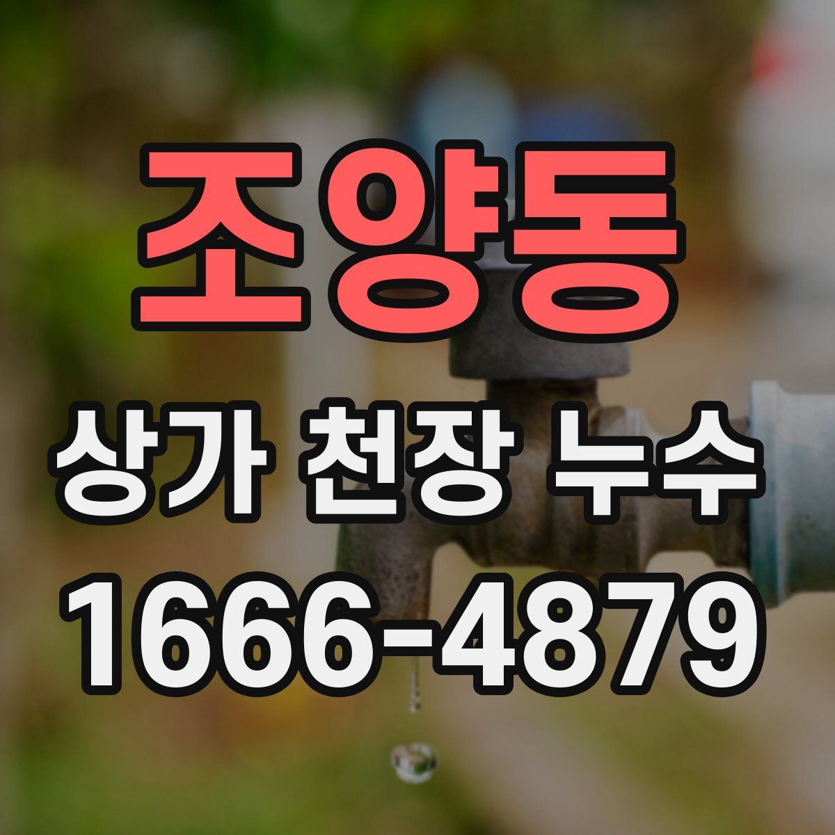 조양동 상가 천장 누수
