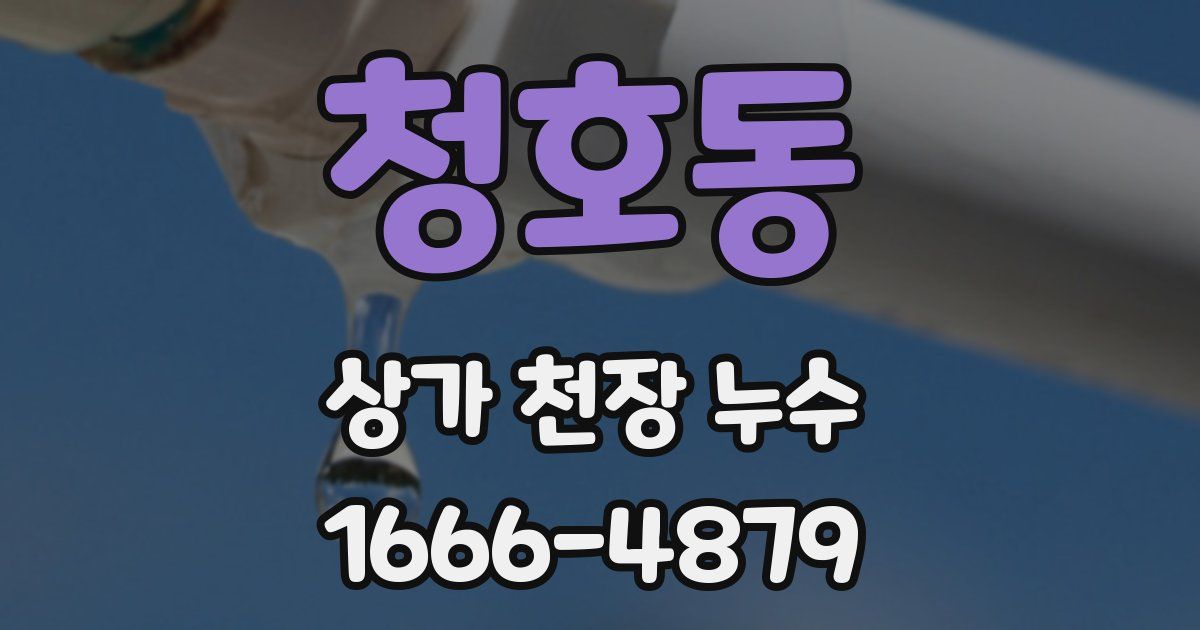 청호동 상가 천장 누수