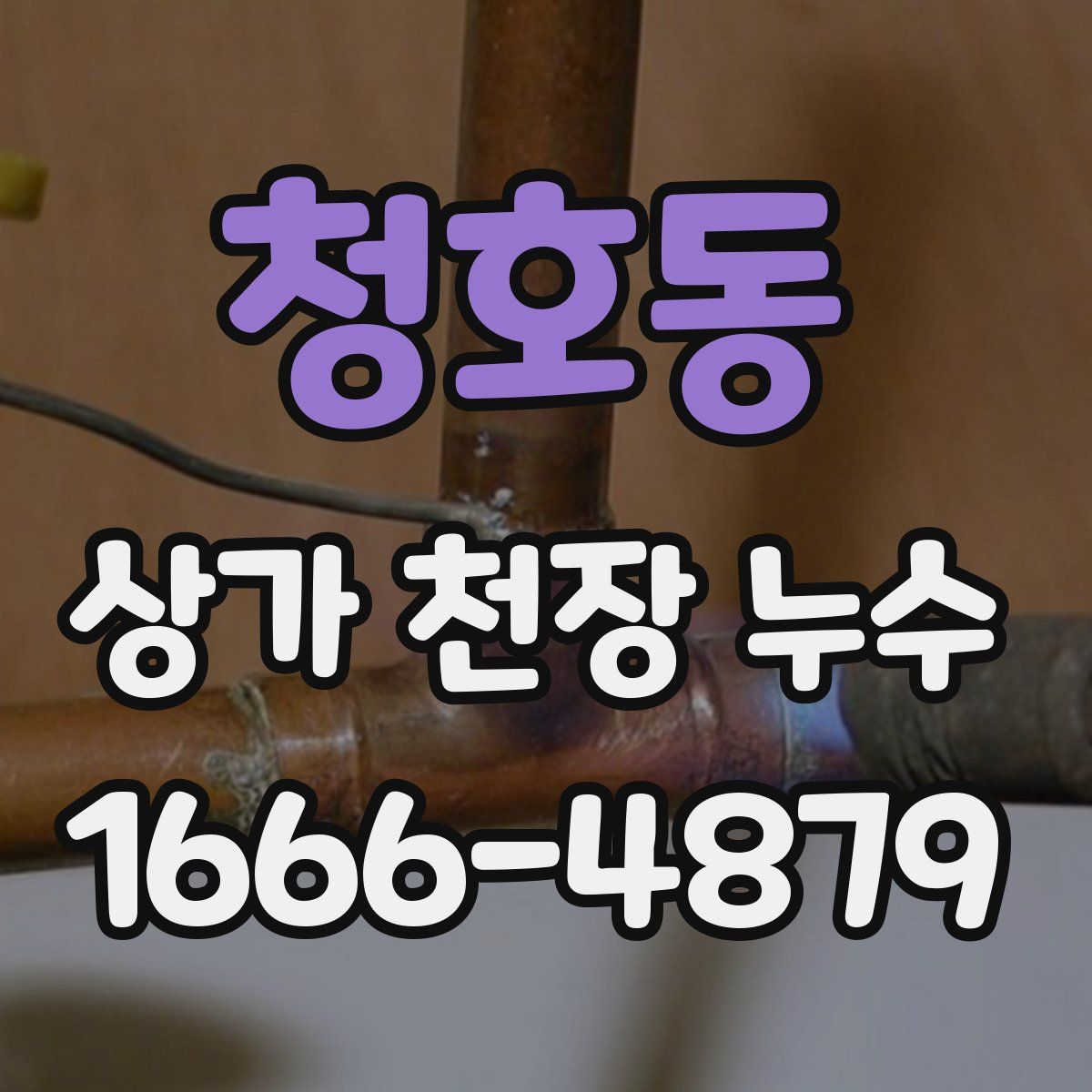 청호동 상가 천장 누수