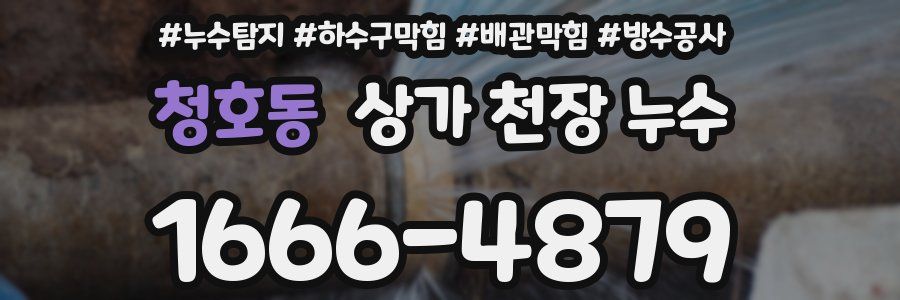 청호동 상가 천장 누수
