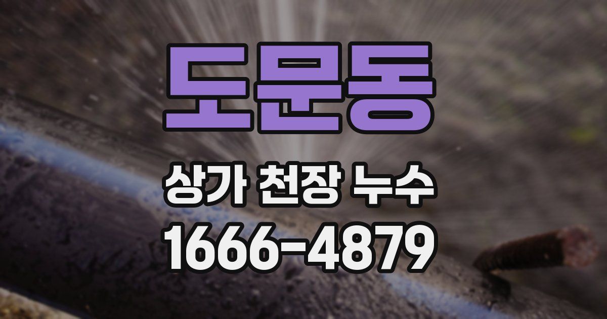 도문동 상가 천장 누수