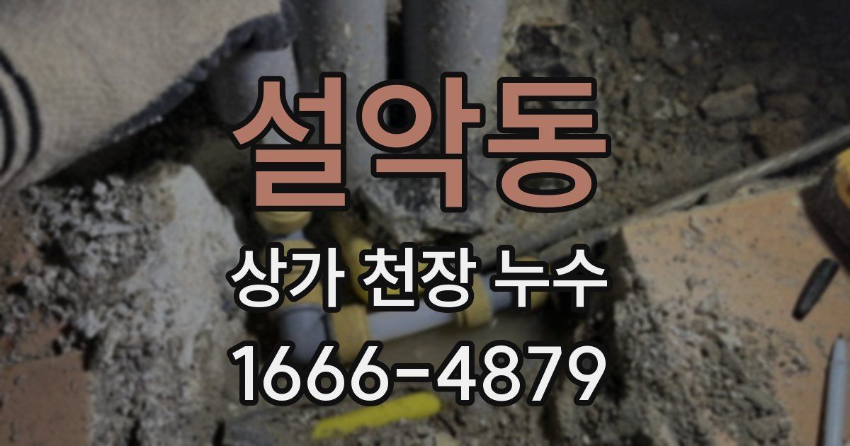 설악동 상가 천장 누수