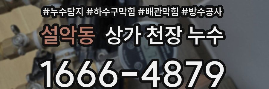 설악동 상가 천장 누수