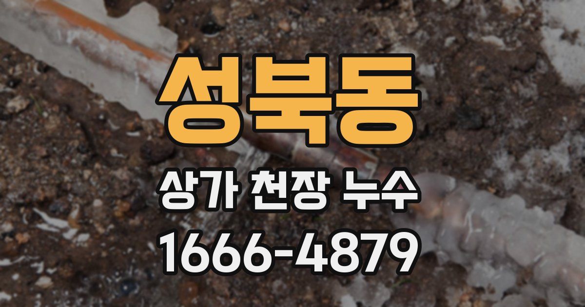 성북동 상가 천장 누수
