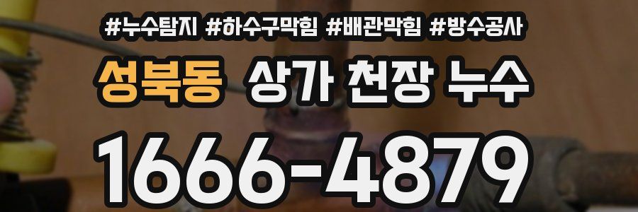 성북동 상가 천장 누수