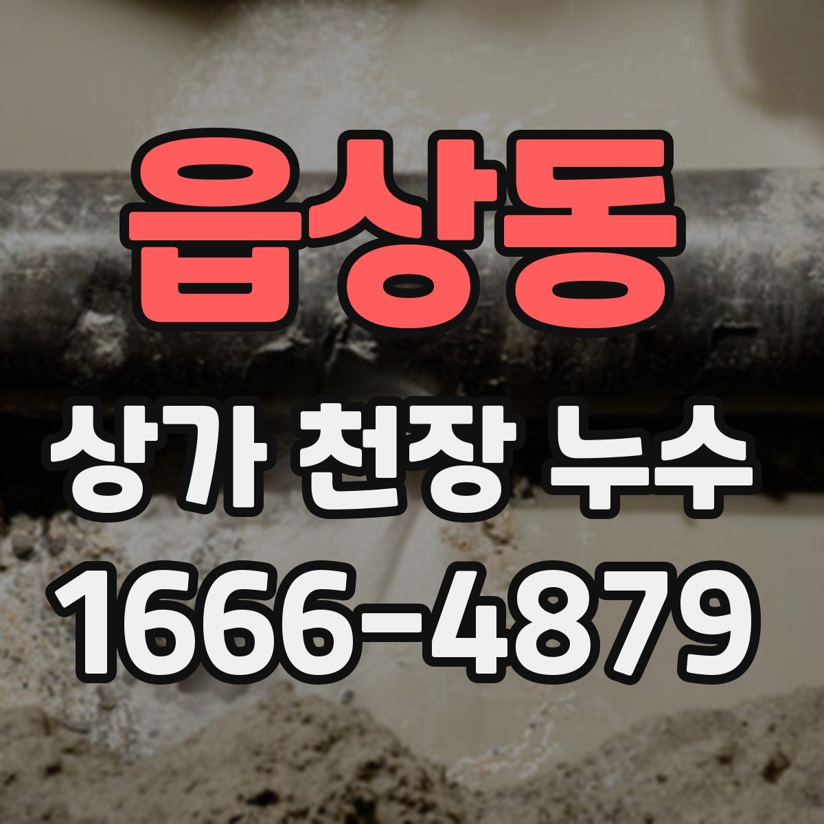 읍상동 상가 천장 누수