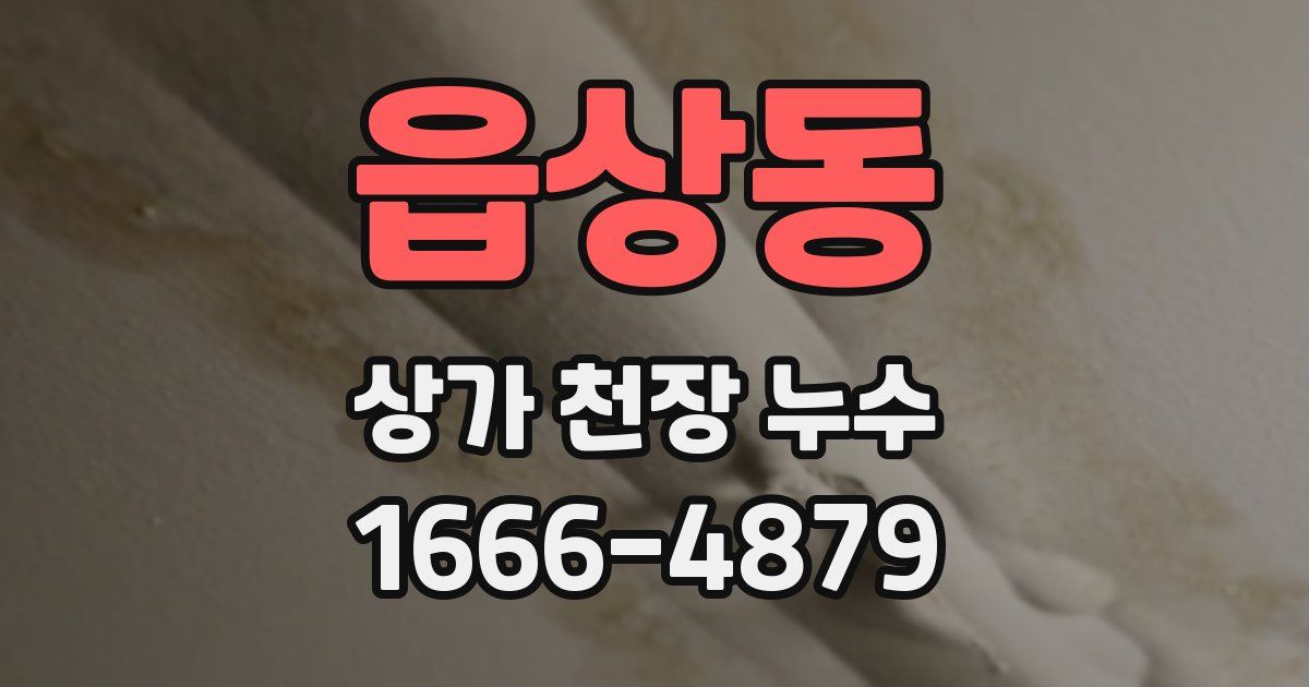 읍상동 상가 천장 누수