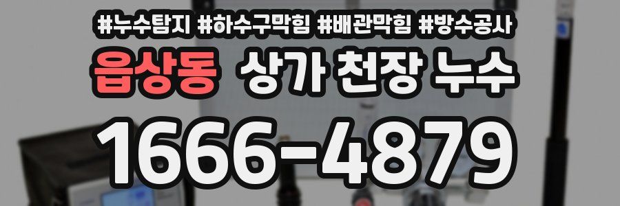 읍상동 상가 천장 누수