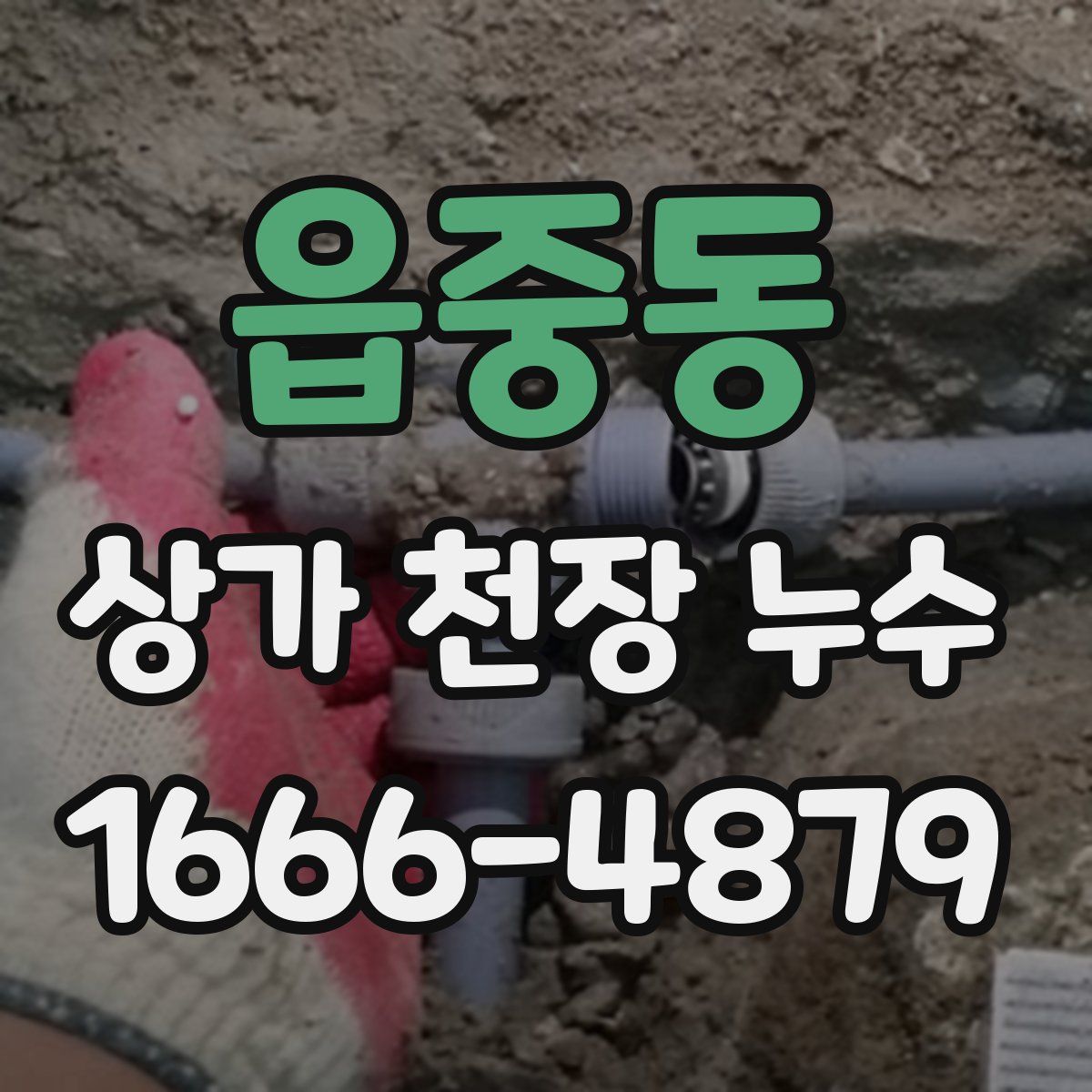 읍중동 상가 천장 누수