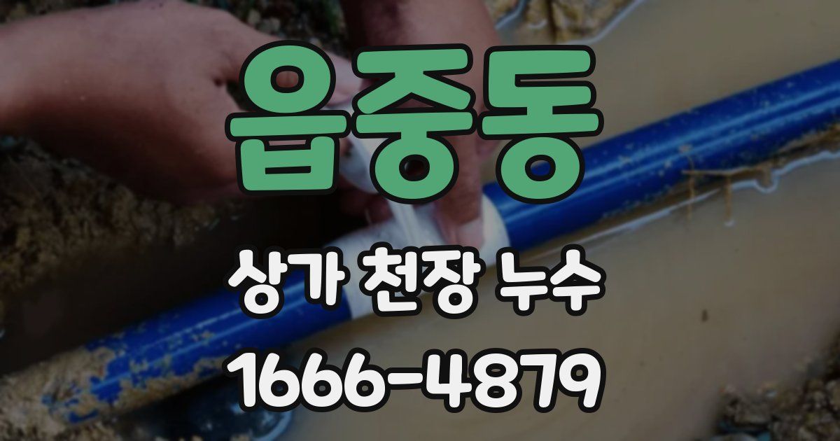 읍중동 상가 천장 누수