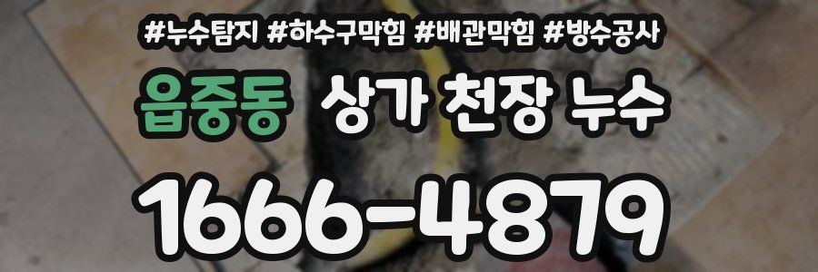 읍중동 상가 천장 누수