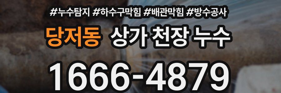당저동 상가 천장 누수