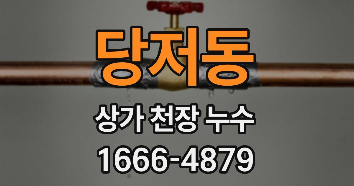 당저동 상가 천장 누수