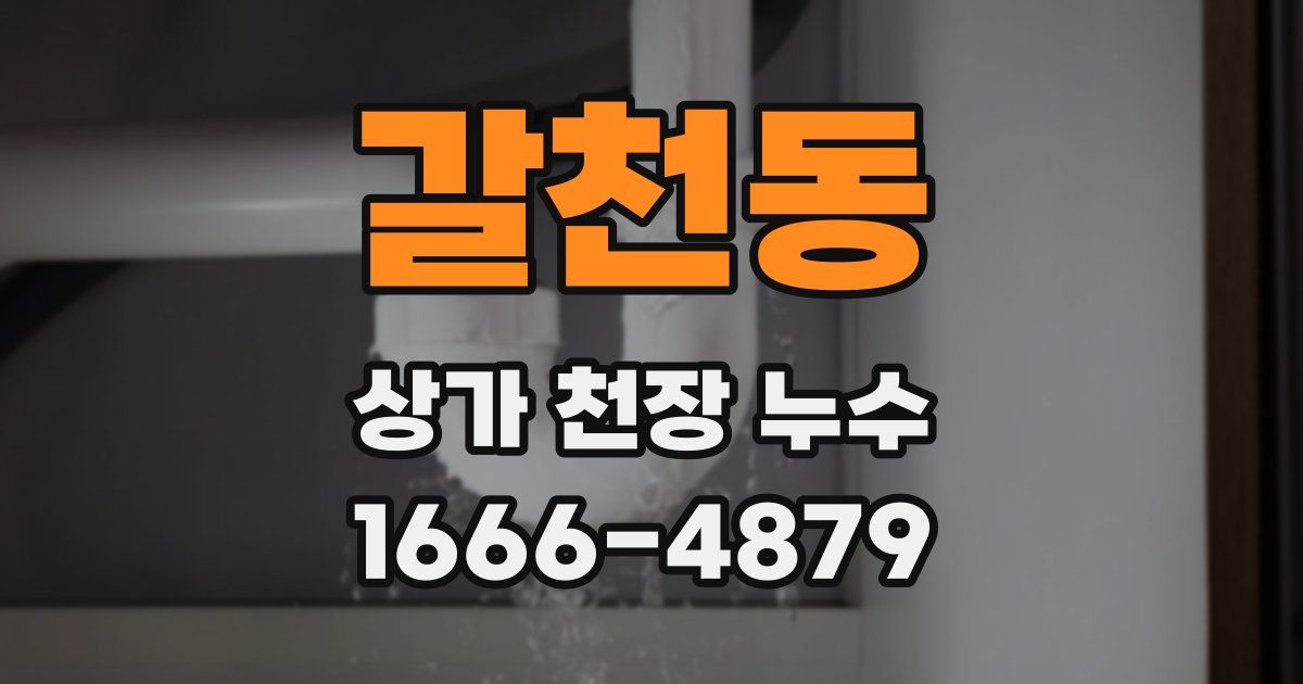갈천동 상가 천장 누수