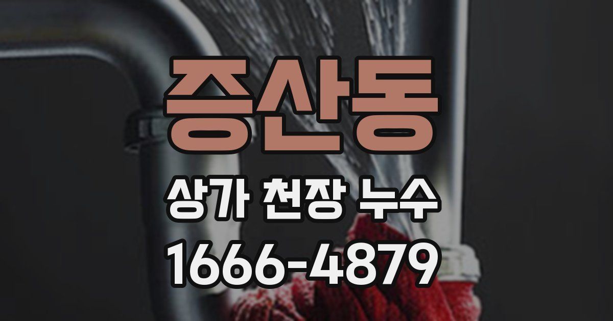 증산동 상가 천장 누수