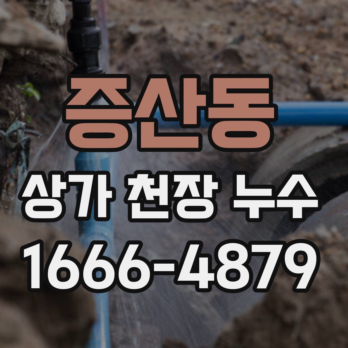 증산동 상가 천장 누수