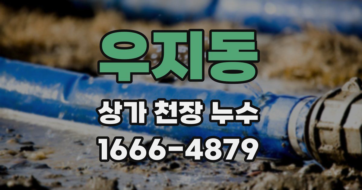 우지동 상가 천장 누수