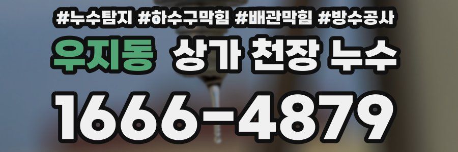 우지동 상가 천장 누수