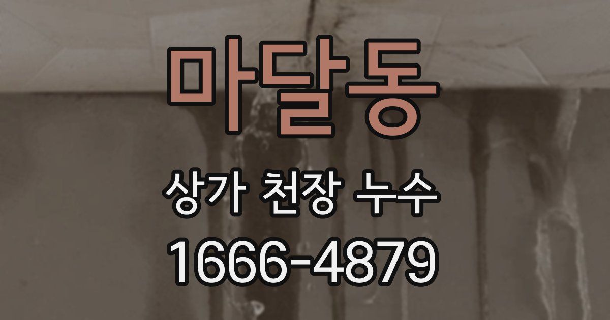 마달동 상가 천장 누수