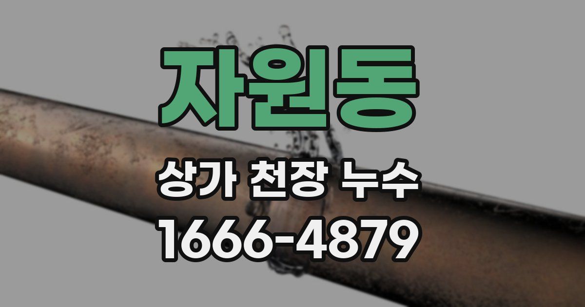 자원동 상가 천장 누수