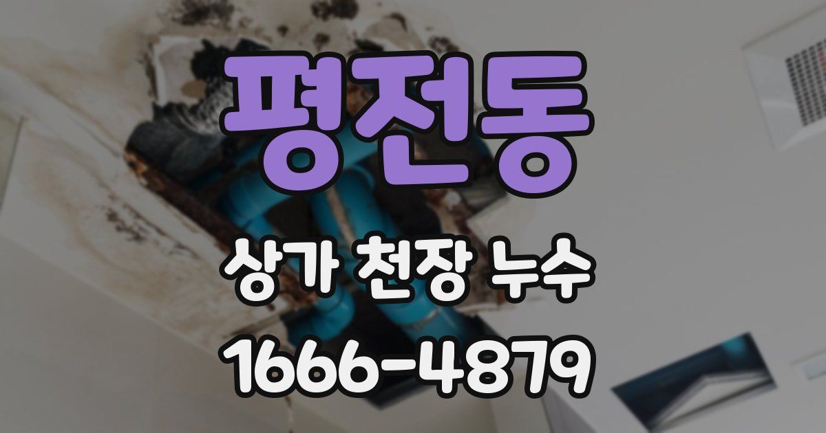 평전동 상가 천장 누수