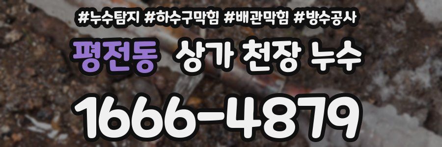 평전동 상가 천장 누수
