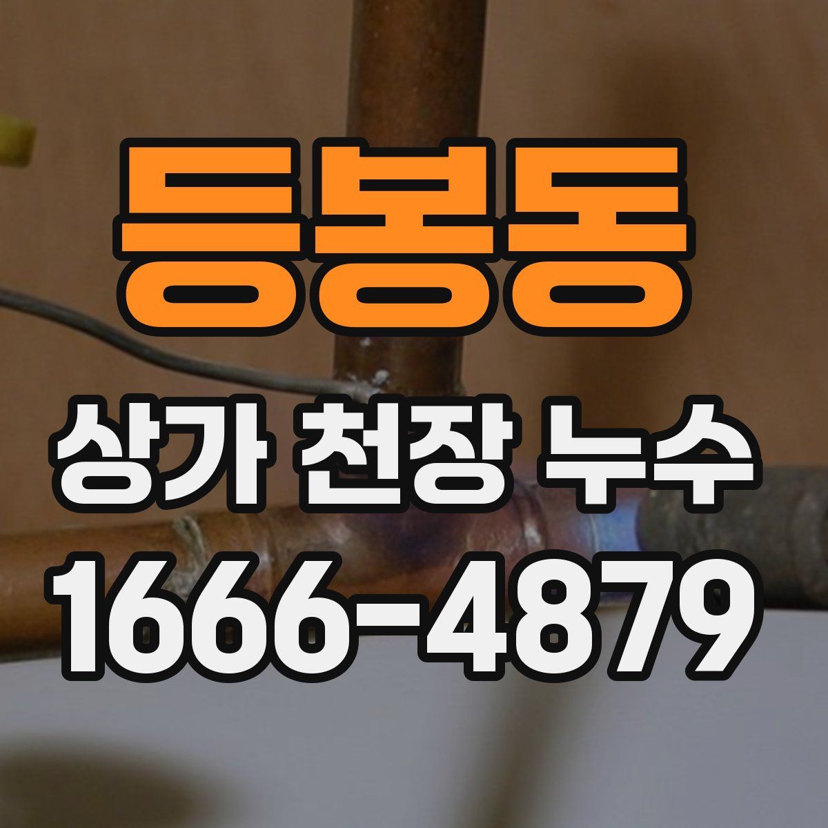 등봉동 상가 천장 누수