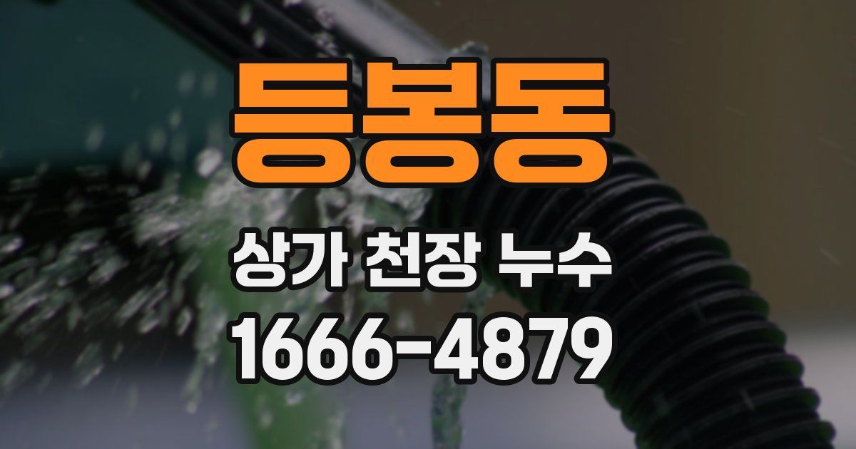 등봉동 상가 천장 누수