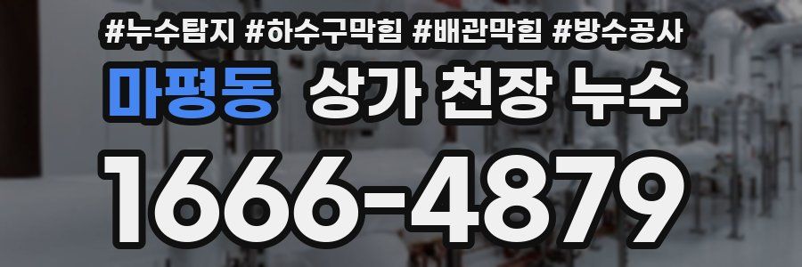 마평동 상가 천장 누수