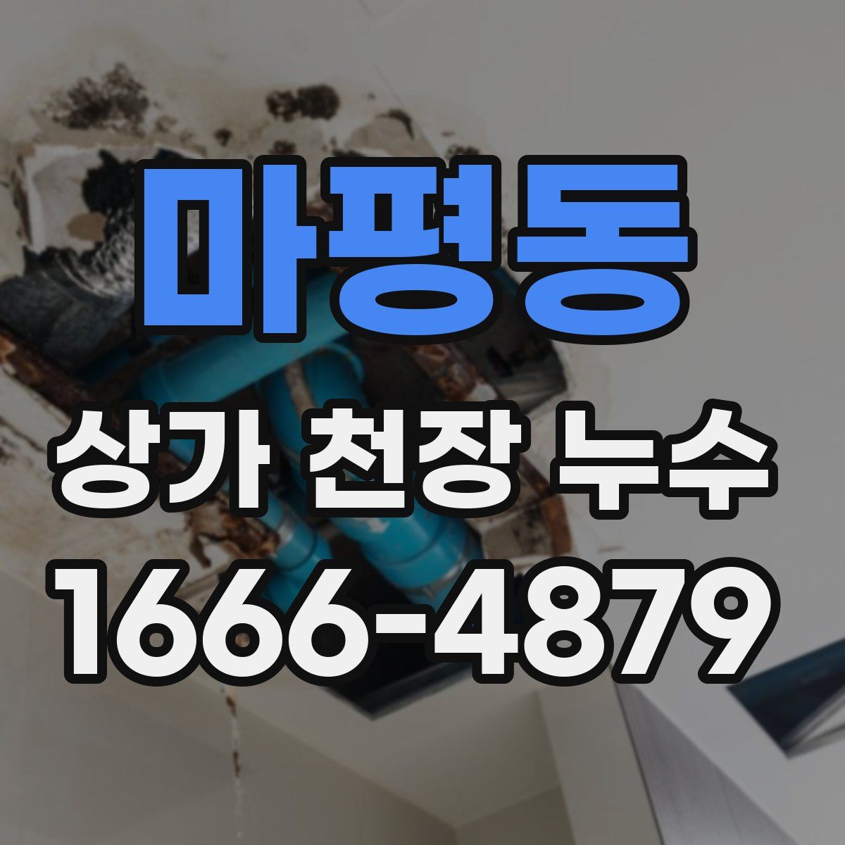 마평동 상가 천장 누수