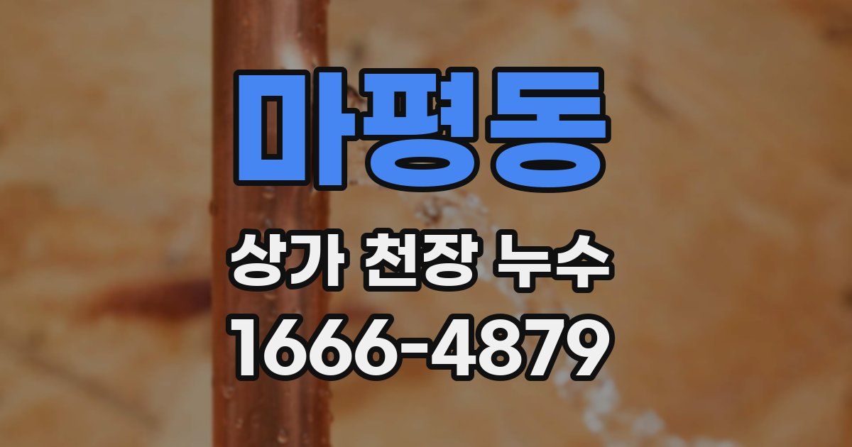 마평동 상가 천장 누수