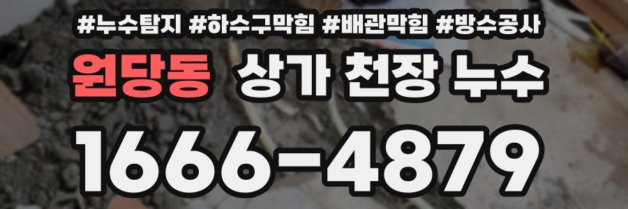 원당동 상가 천장 누수