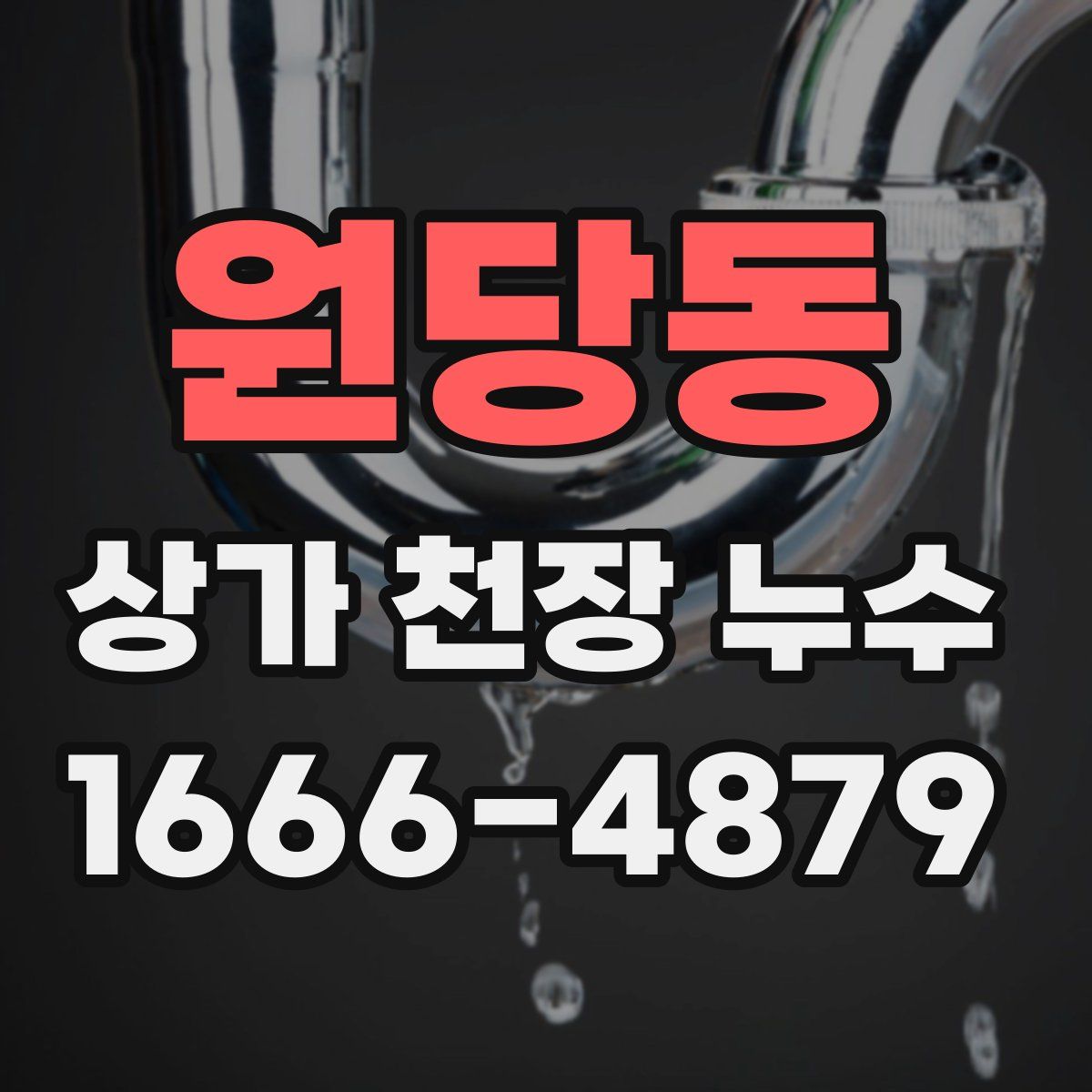 원당동 상가 천장 누수