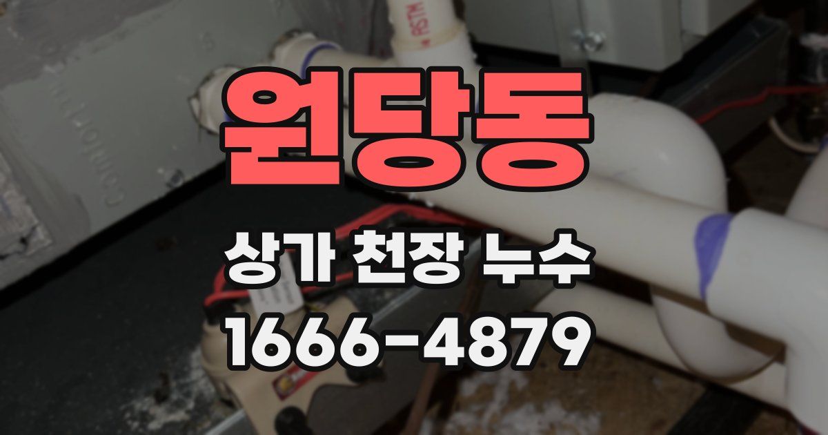 원당동 상가 천장 누수