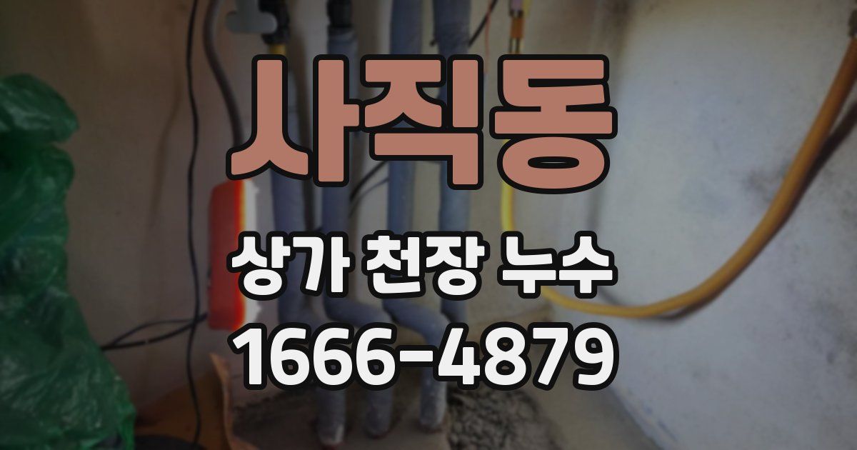 사직동 상가 천장 누수