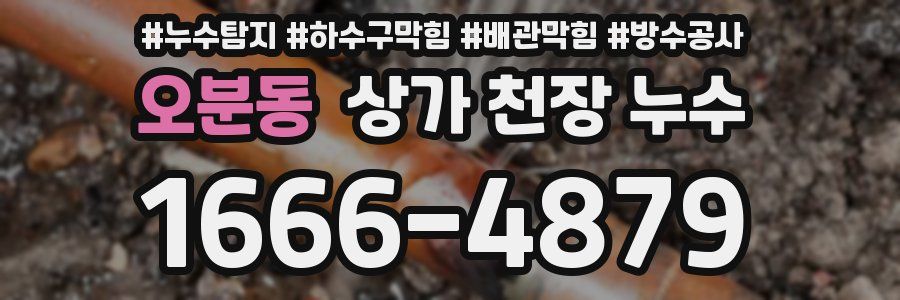 오분동 상가 천장 누수