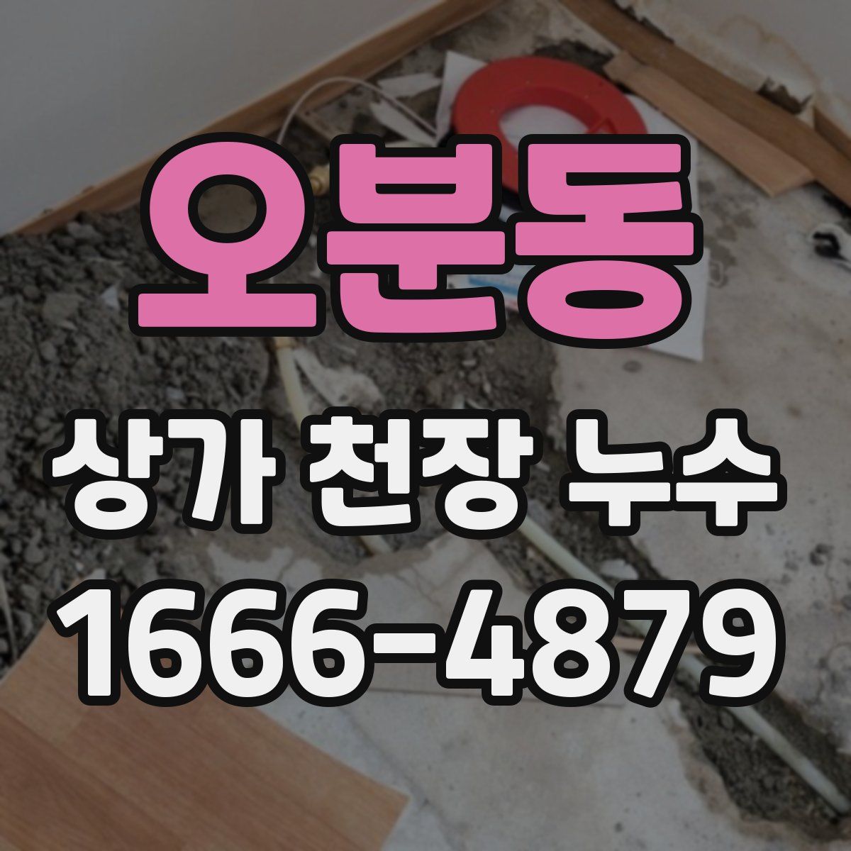 오분동 상가 천장 누수