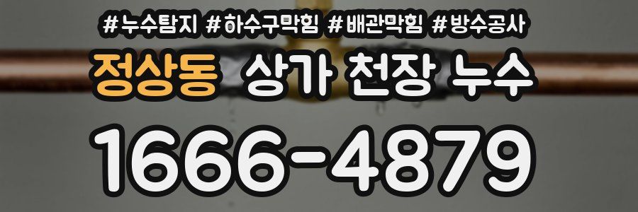 정상동 상가 천장 누수