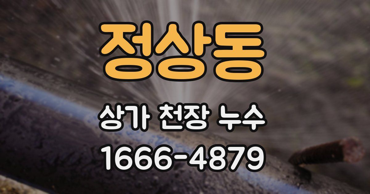 정상동 상가 천장 누수