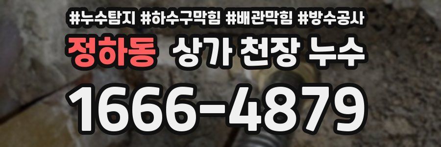 정하동 상가 천장 누수