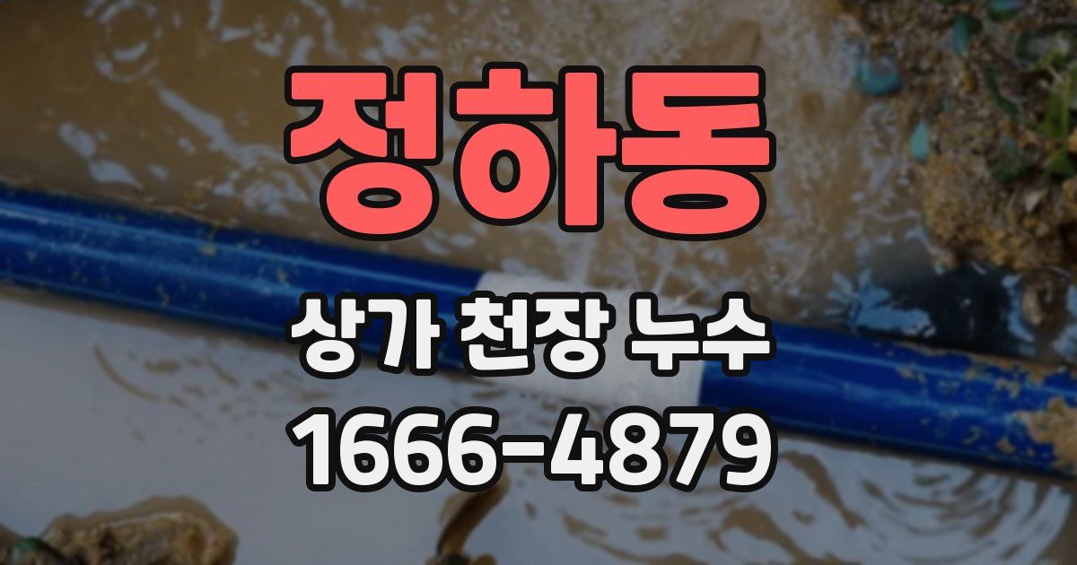 정하동 상가 천장 누수