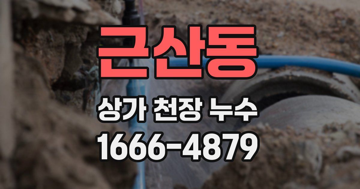 근산동 상가 천장 누수