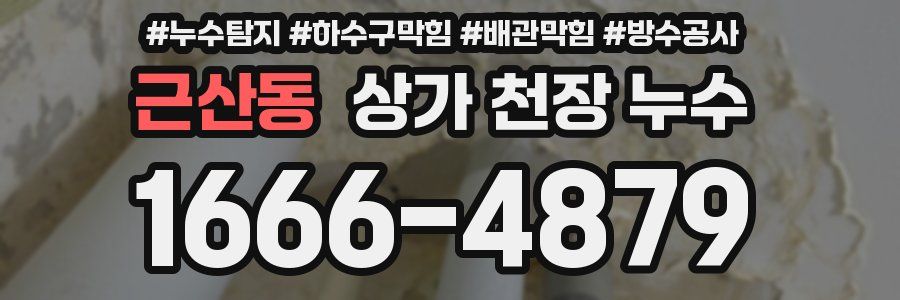근산동 상가 천장 누수