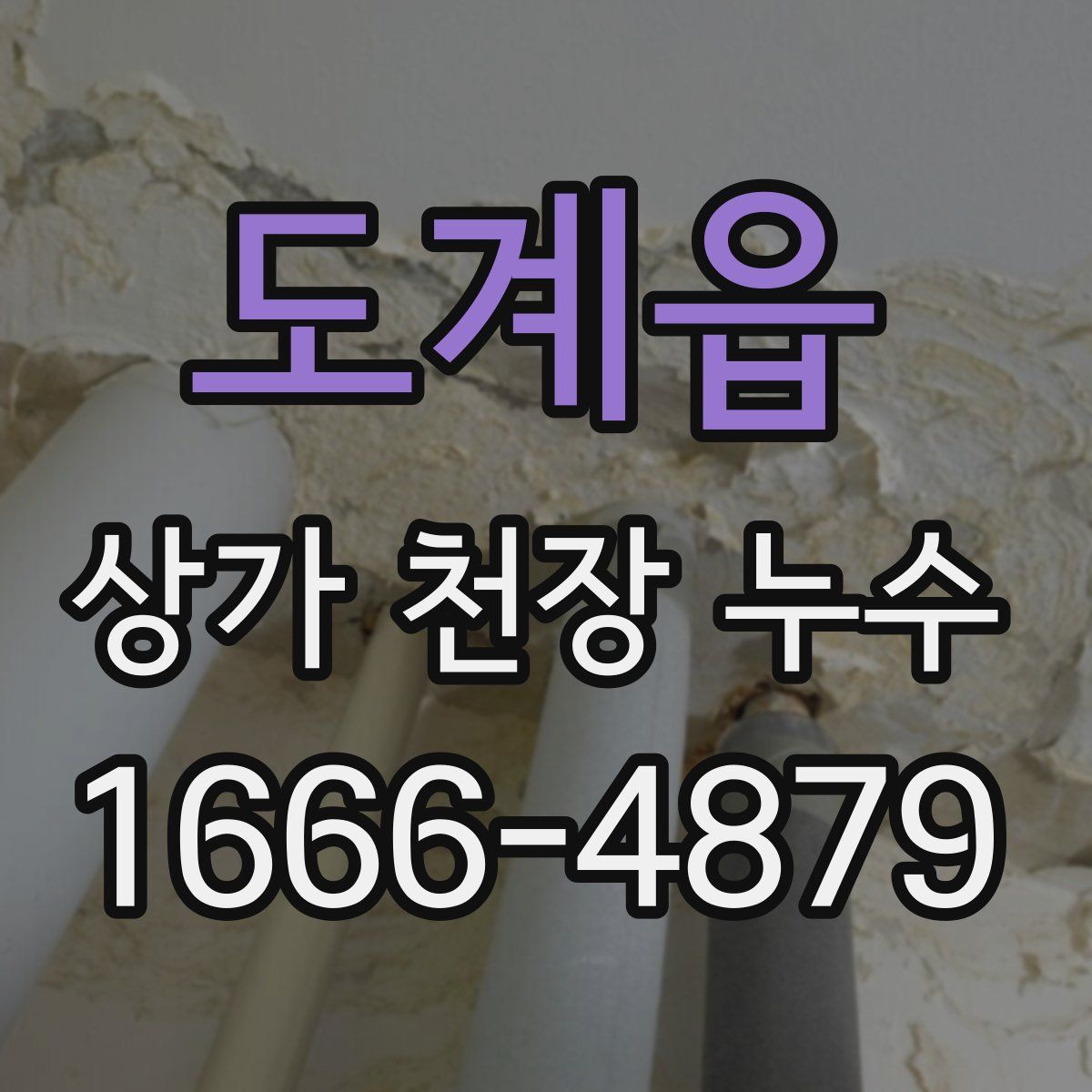 도계읍 상가 천장 누수
