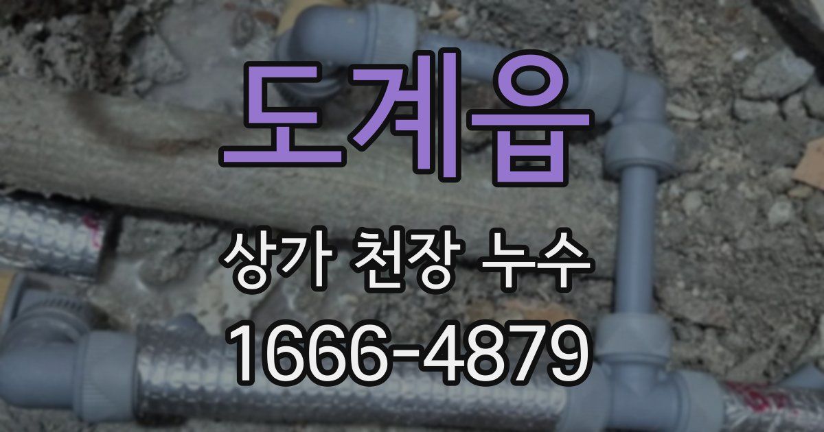 도계읍 상가 천장 누수